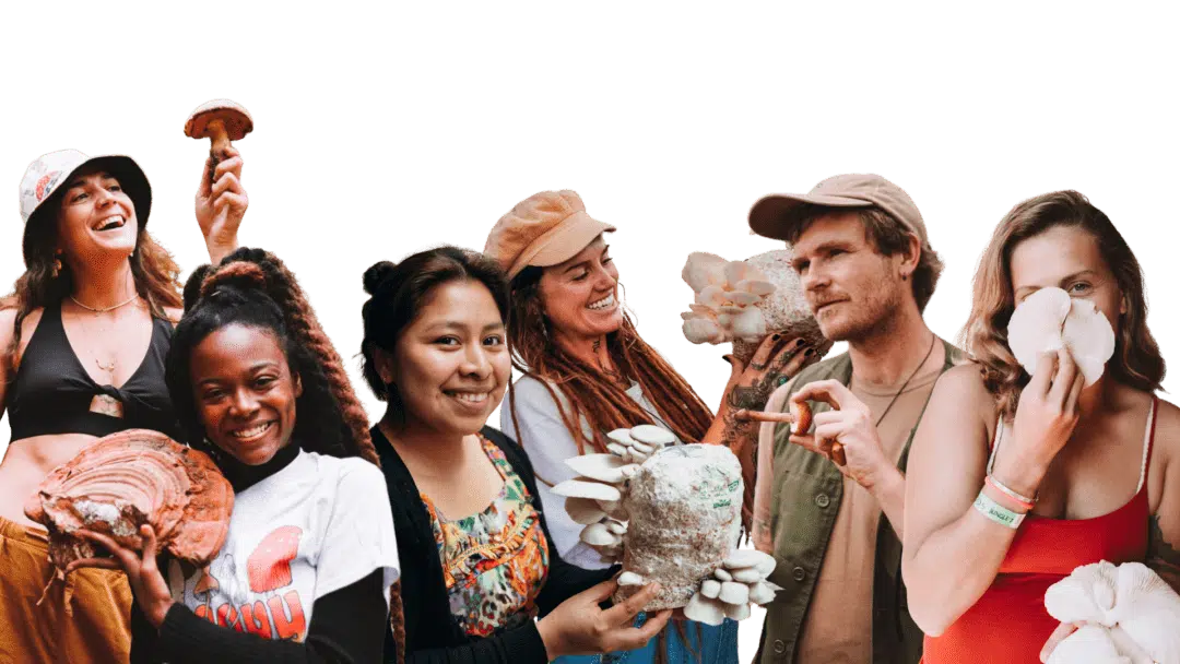 Fungi Academy community members