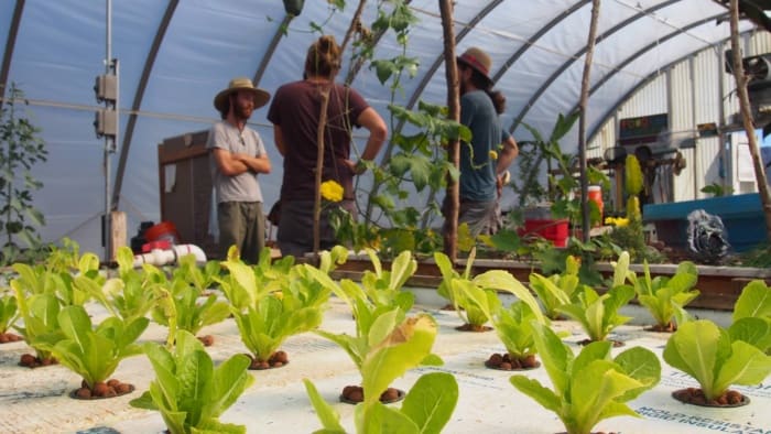 studentexperimentalfarm