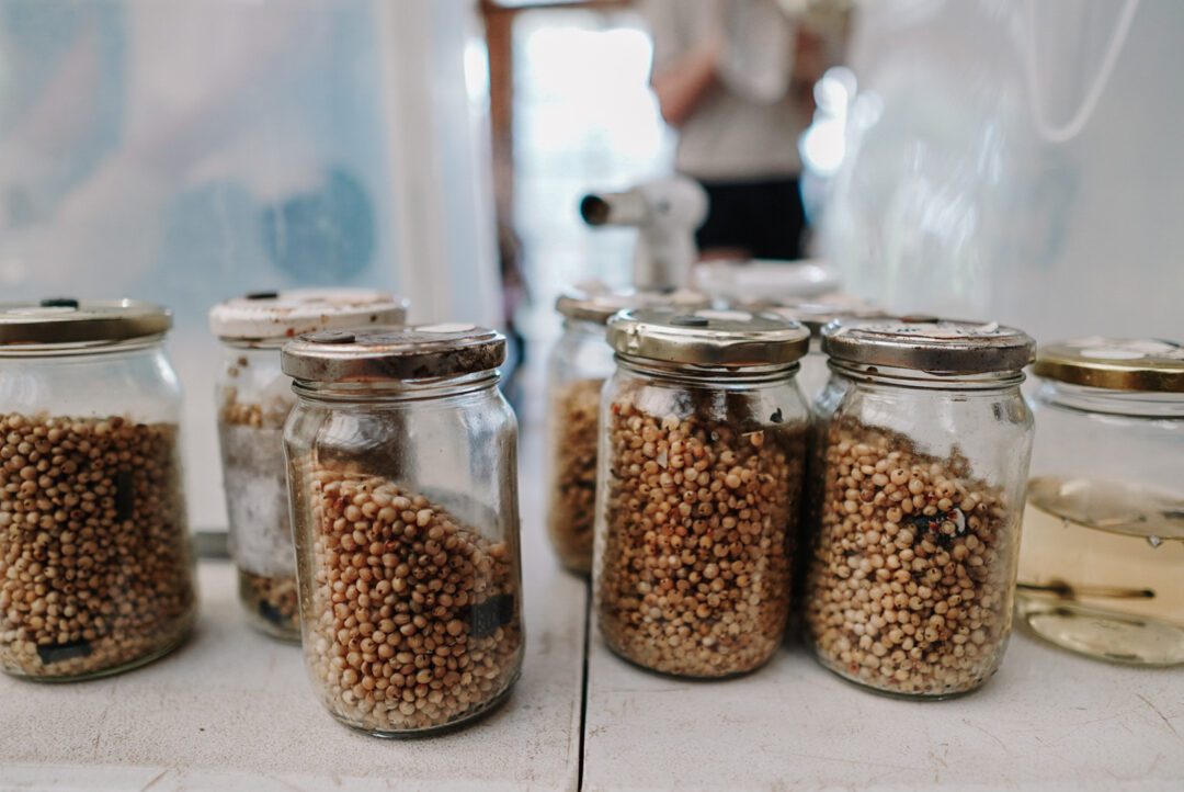 Mushroom cultivation equipment including grain jars for home growing