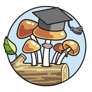 Magic mushroom cultivation