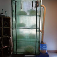 martha mushroom fruiting chamber