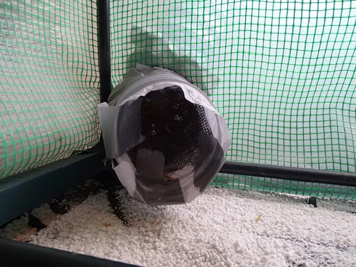 4-inch (10cm) flexible ducting entering the greenhouse in the lower left-hand corner. The exhaust fan is located about 3-inches (7.5cm) deep into the duct, at the point where the ducting enters/exits the greenhouse’s exterior.