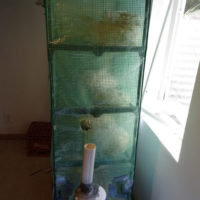 Humidifier with 2-inch (5cm) PVC pipe taped over the humidity expeller component
