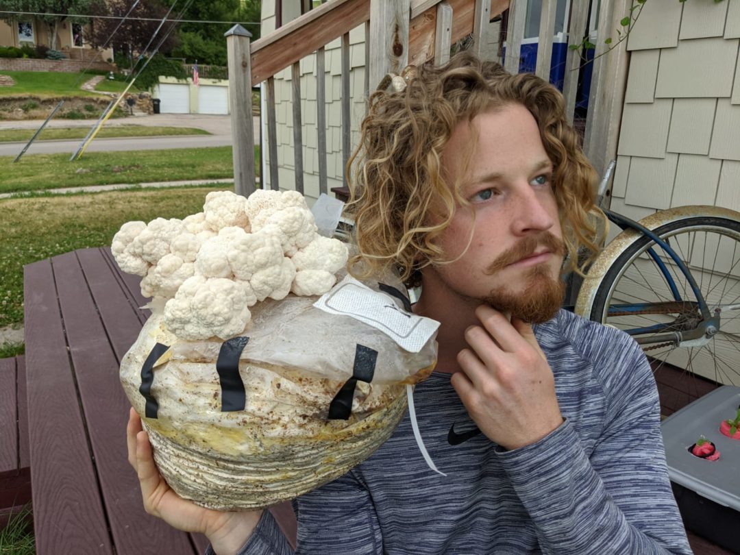 sam the mushroom man Fungi Academy