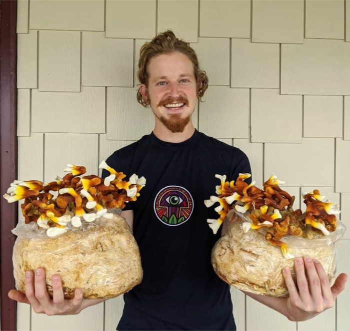 Sam The Mushroom Man Makes A Martha Mushroom Fruiting Chamber