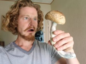 How to Grow Magic Mushrooms