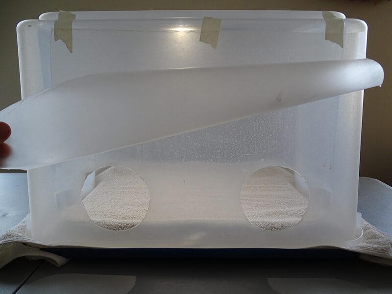 completed still air box ready for mushroom cultivation