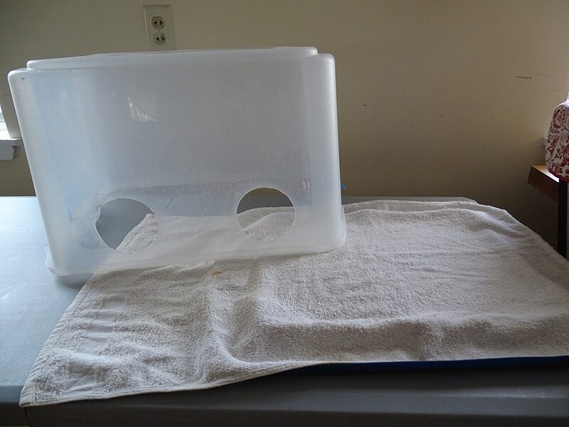 still air box bleach towel technique for sterile mushroom cultivation