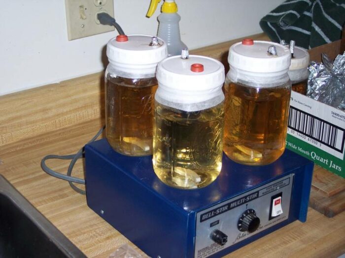 mushroom liquid cultures