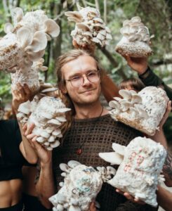 lion's mane mushrooms