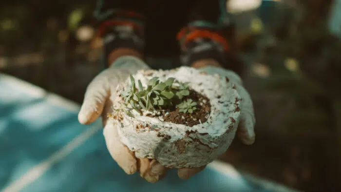 Mushroom Mycelium Materials