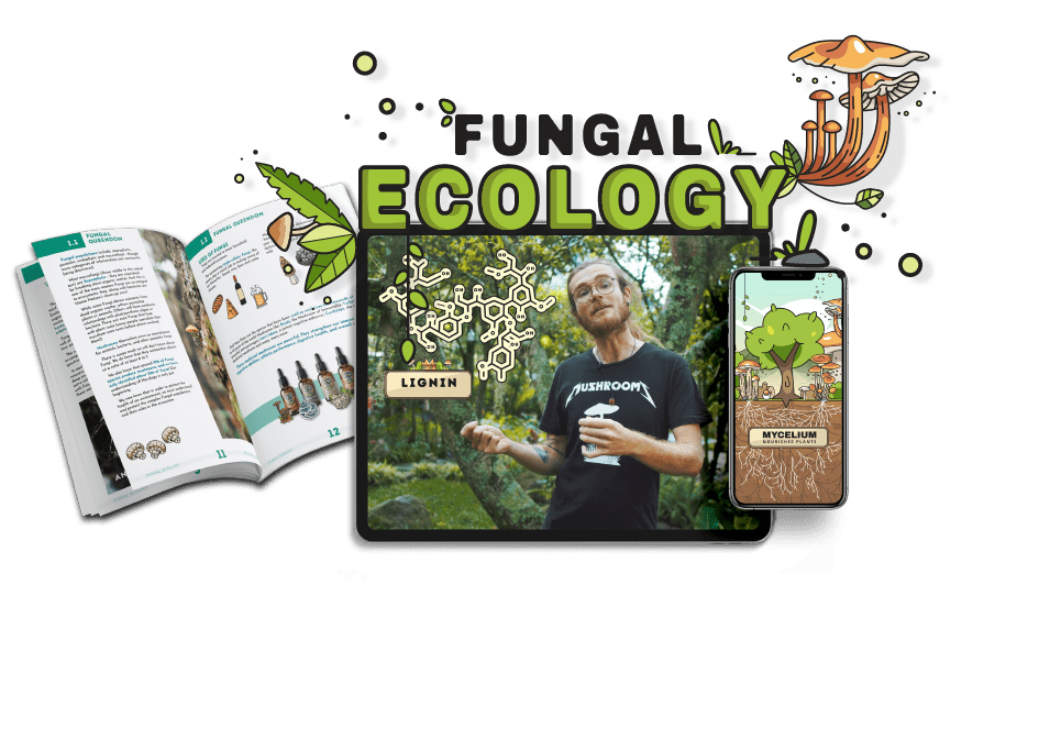The Fungal Ecology Course on screen with full-colour workbook