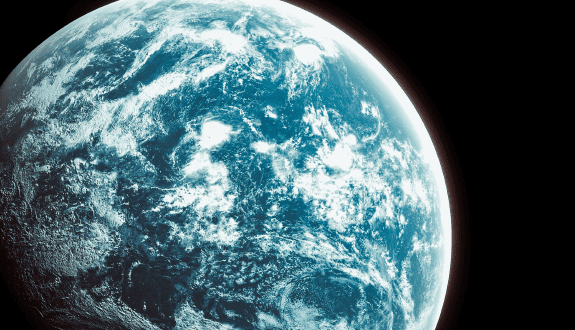 Module 2 — The Fungal Evolution of our Planet