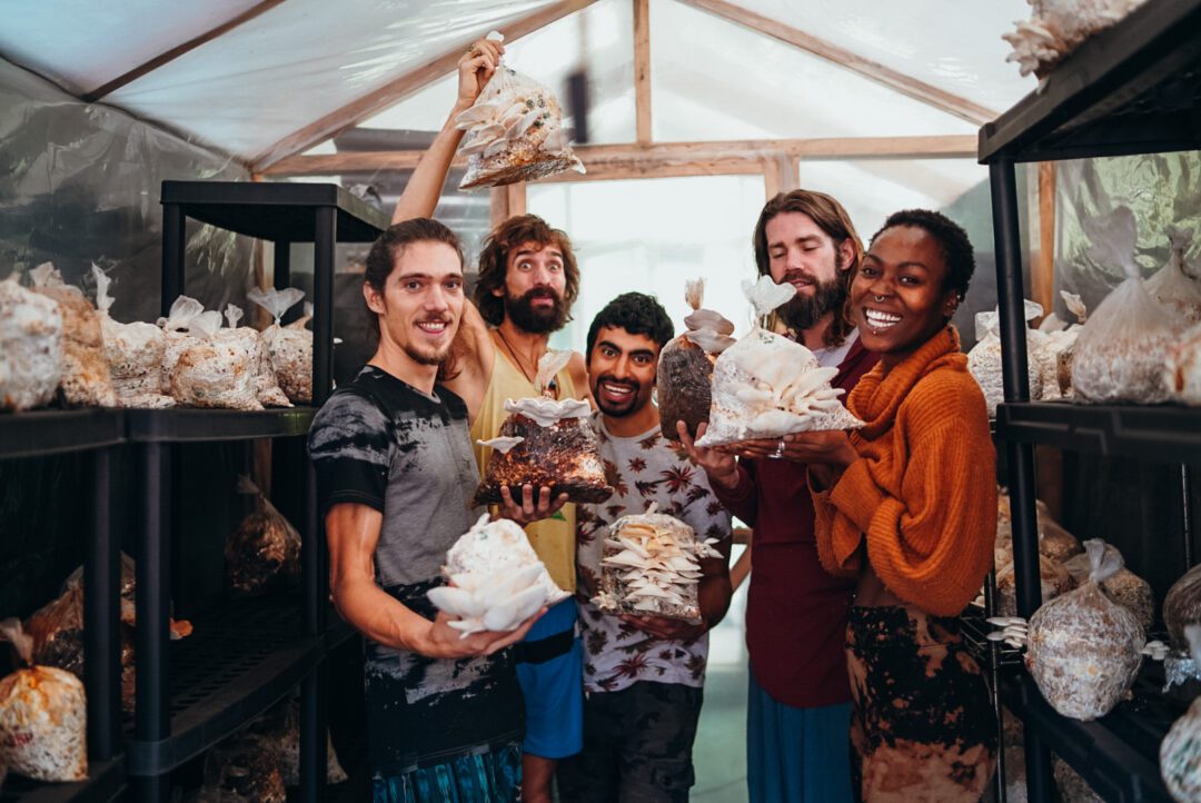 Fungi Academy students with a harvest of cultivated mushrooms