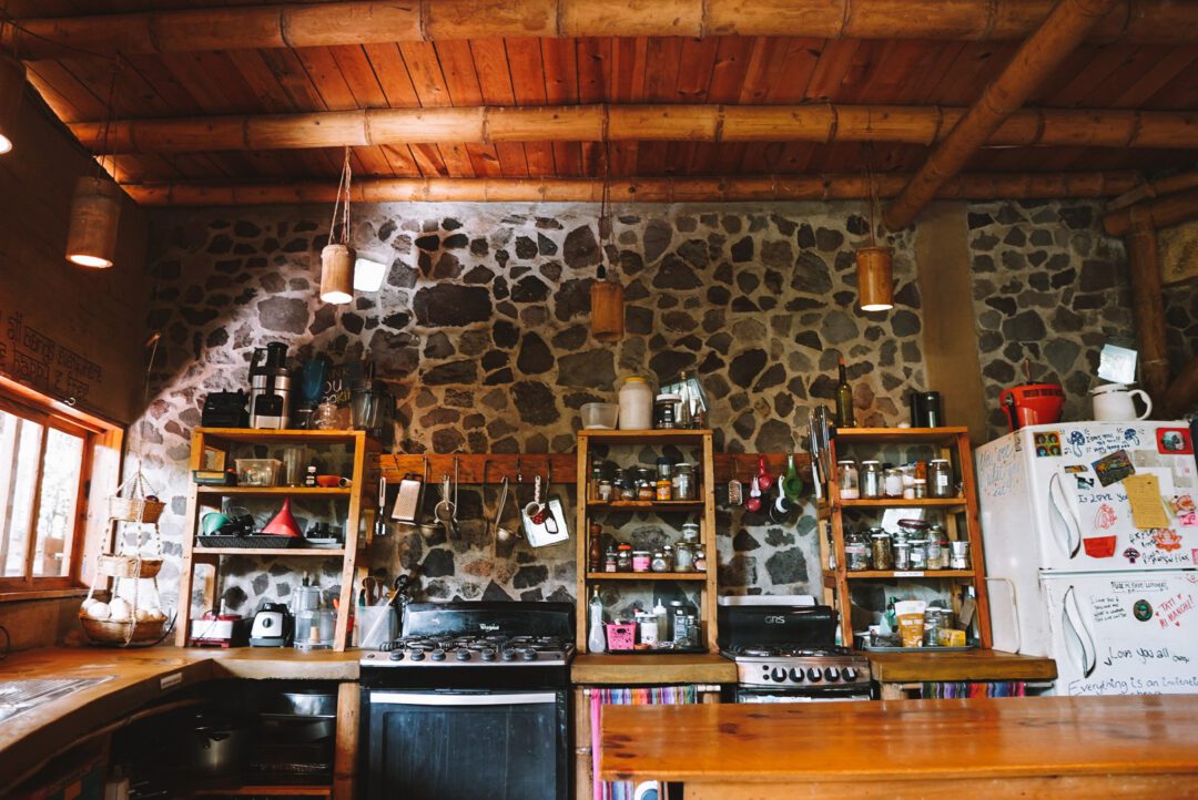 The kitchen at Fungi Academy where the food is alive