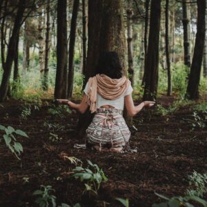 Psychedelic Journeywork Course