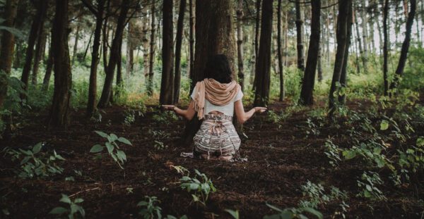 Psychedelic Journeywork Course