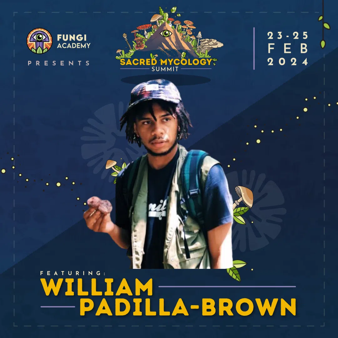 William-Padilla Brown - SMS-feed - Fungi Academy