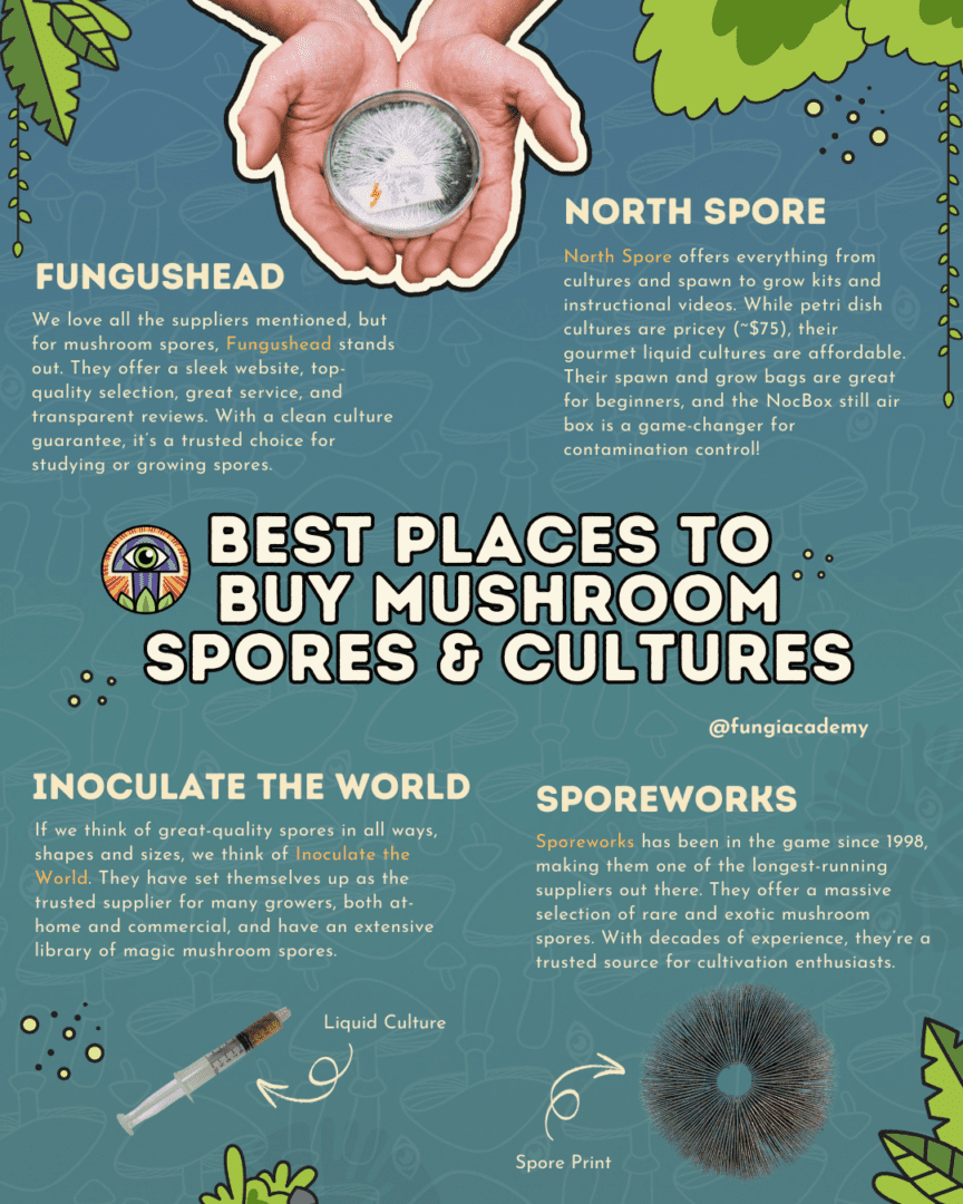 Mushroom spores and liquid culture syringes for starting a grow
