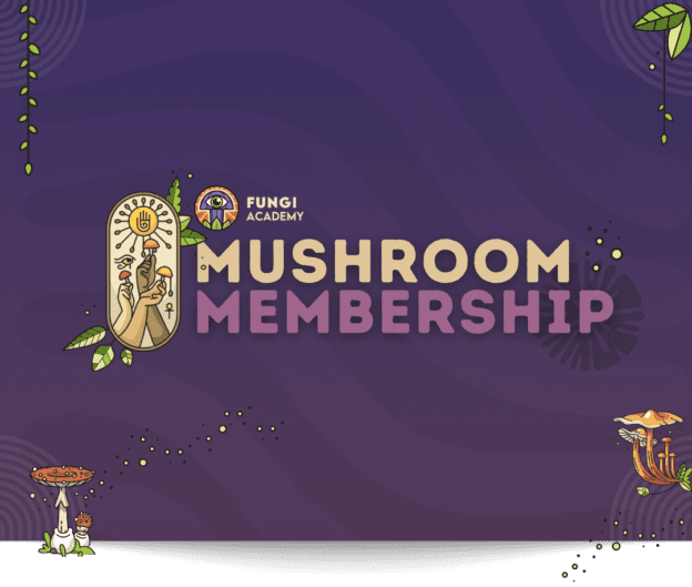 Mushroom Membership – Spore