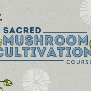 Sacred Mushroom Cultivation Course