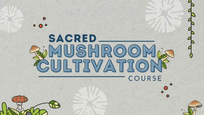 Sacred Mushroom Cultivation Course
