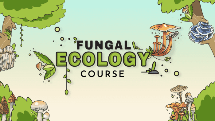 Fungal Ecology Course