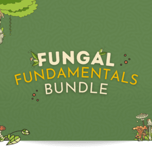 Fungal Fundamentals Community