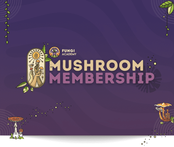 Mushroom Membership - Premium Mycelium