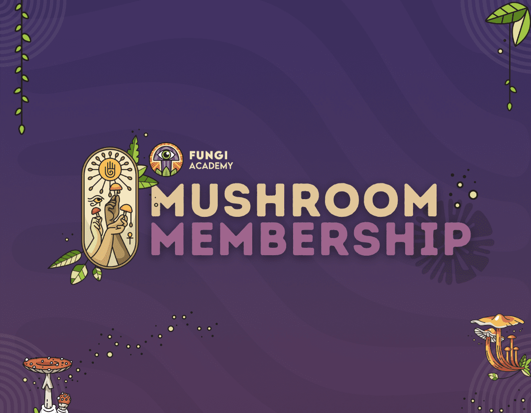 Mushroom Membership – Premium Mycelium