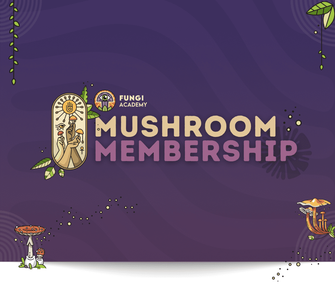 Mushroom Membership – Premium Mycelium