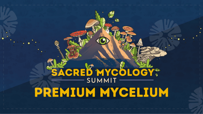 Sacred Mycology Summit Premium Mycelium