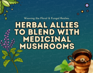 herbal allies to blend with medicinal mushrooms