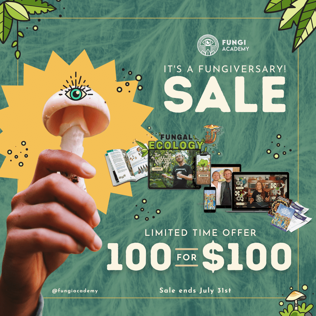 Image of Fungiversary Bundle - Anniversary Sale