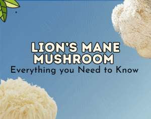 Lion's Mane Mushroom: Everything You Need to Know