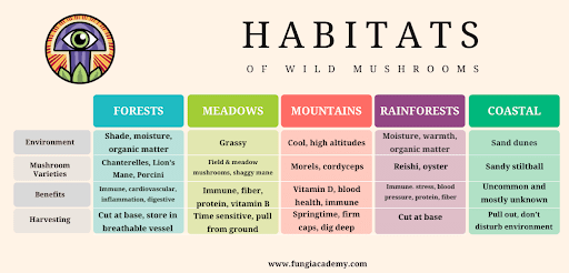 habitats of wild mushrooms