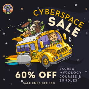 cyberspace sale for cybermonday 60% off fungi academy courses and bundles