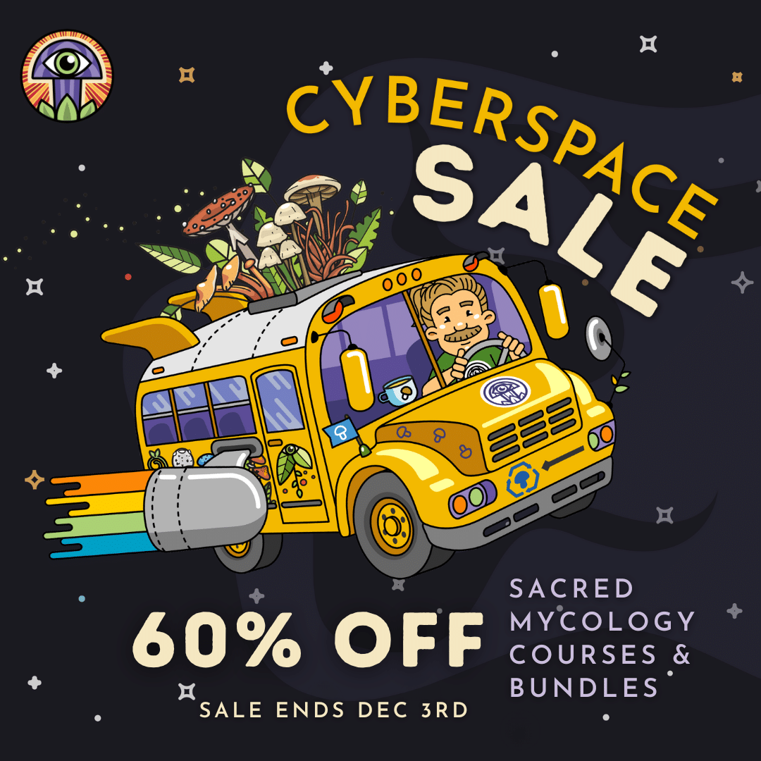 cyberspace sale for cybermonday 60% off fungi academy courses and bundles