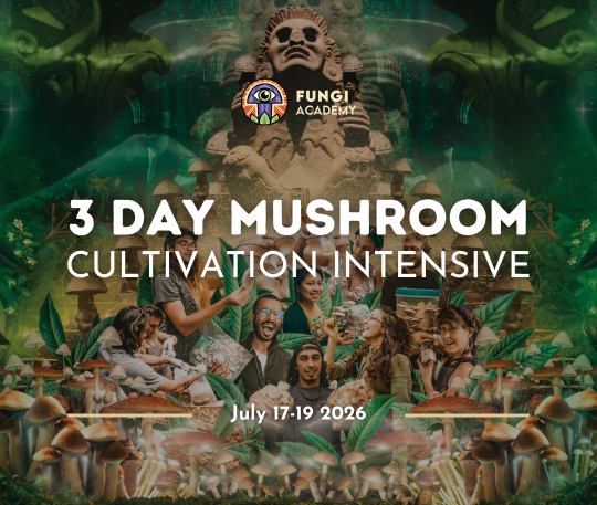 Image of 3-day mushroom cultivation intensive