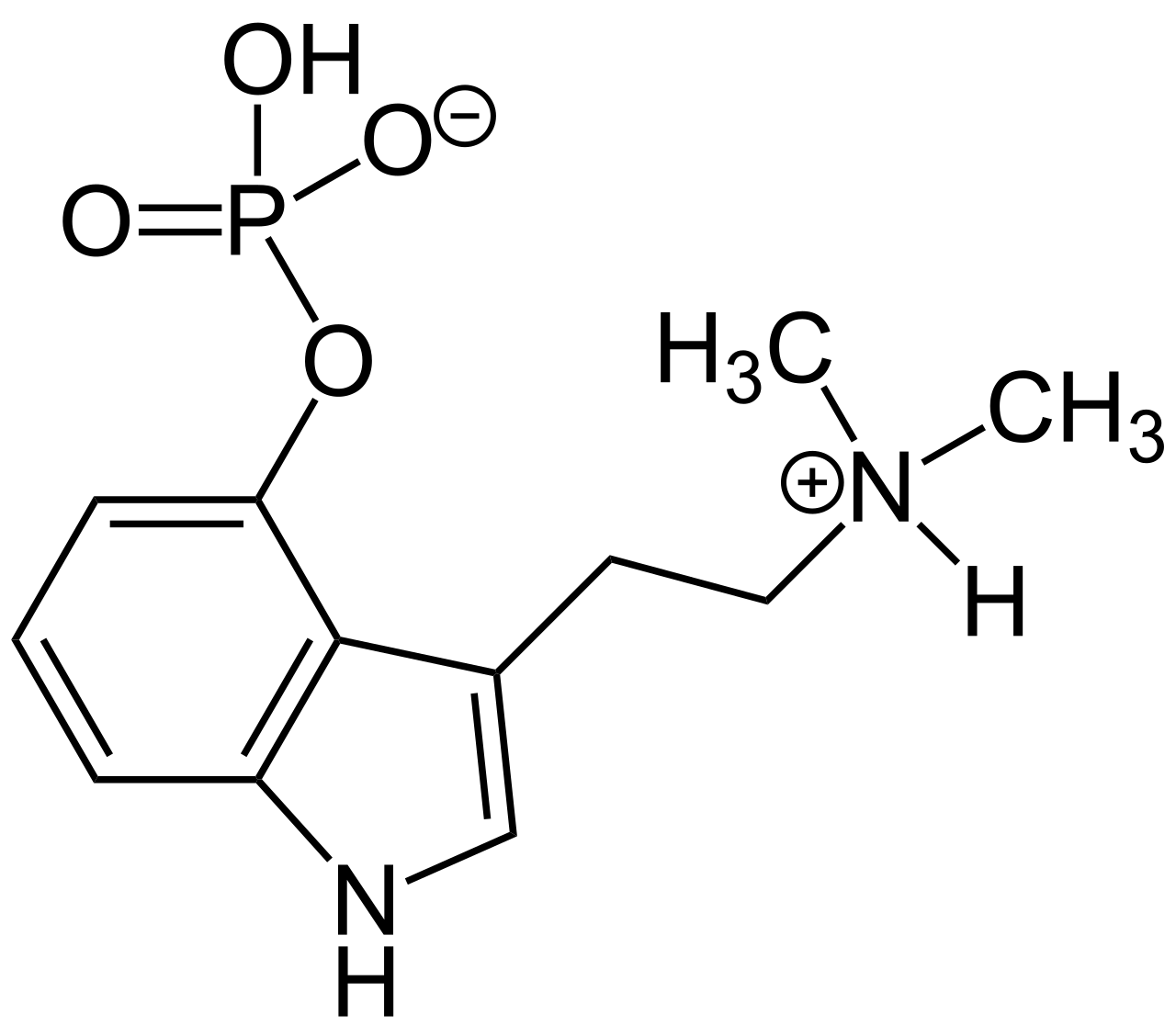 The chemical structure of the psilocybin molecule