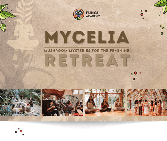 Mycelia - February 2027