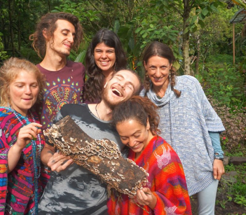 FA team psychedelic healing