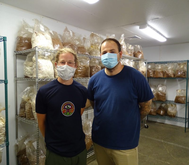 tivoli 3 urban mushroom farming