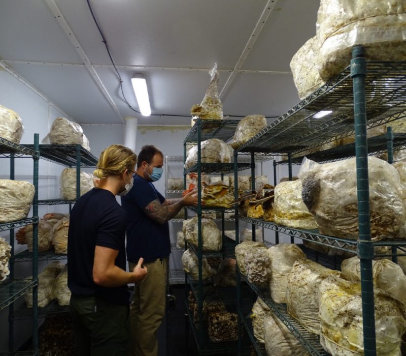 tivoli 4 urban mushroom farm